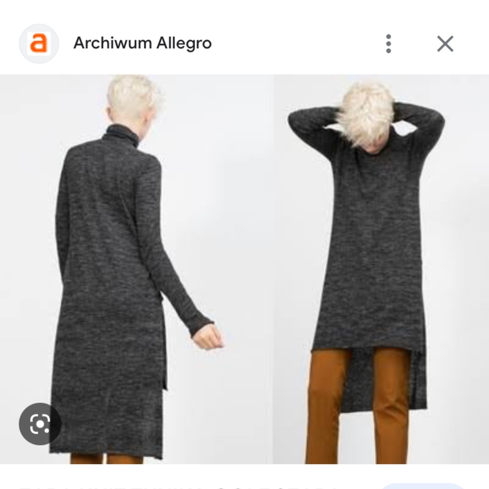 Zara dress